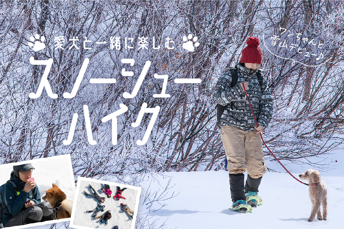 愛犬と一緒に楽しむ！大山スノーシューハイク