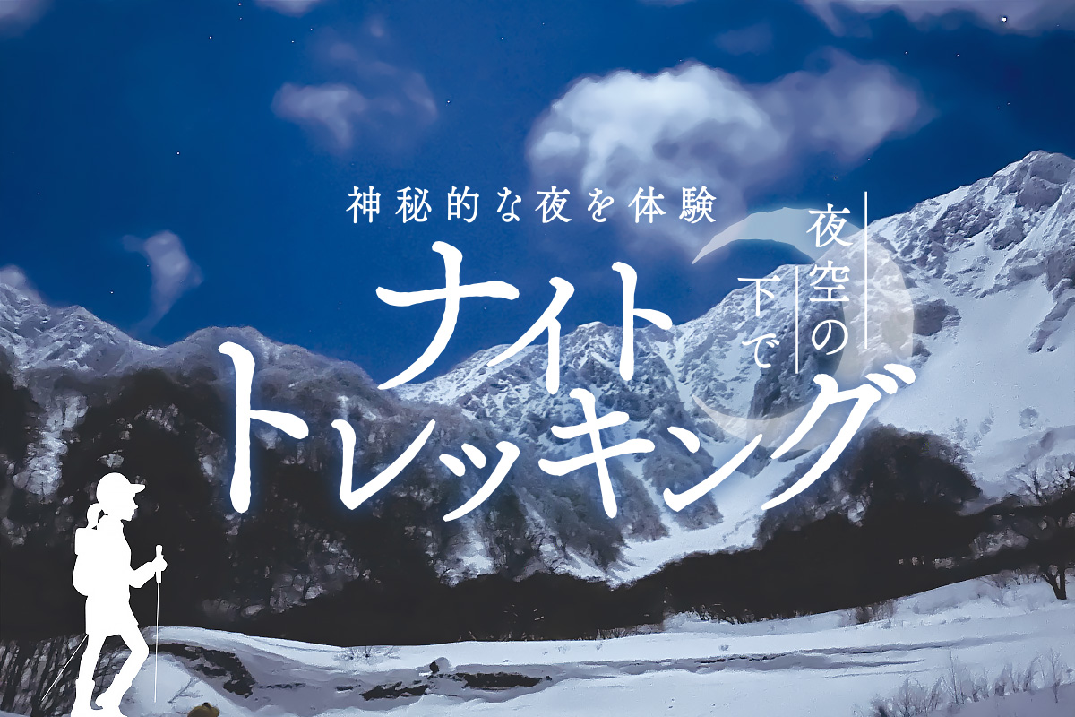 【大山の神秘的な夜を体験】夜空の下でナイトトレッキング