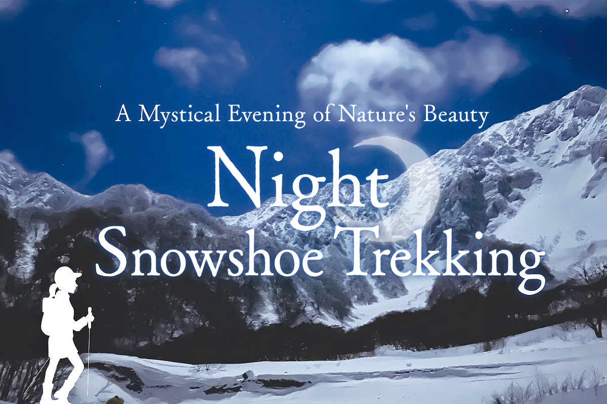 Night snowshoe trekking