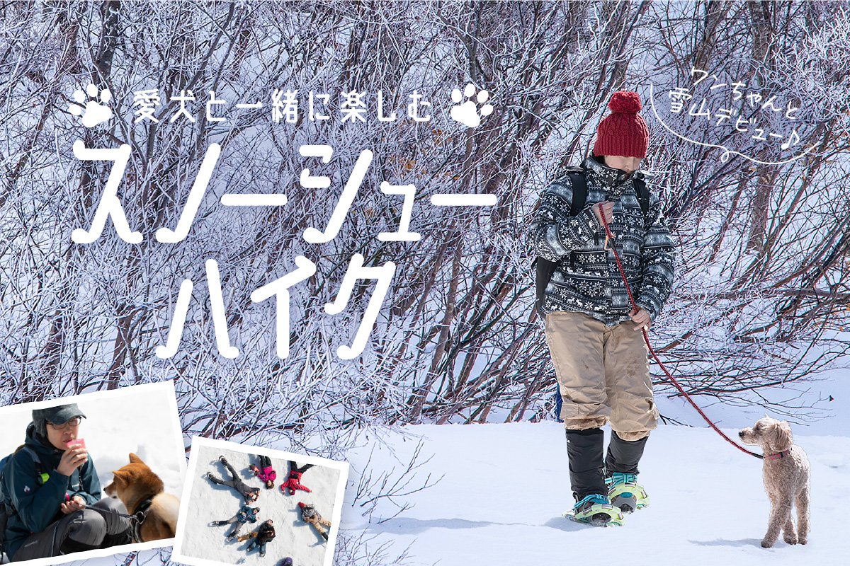 愛犬とスノーシューハイク