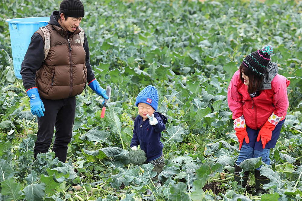 だいせんあぐりツアー