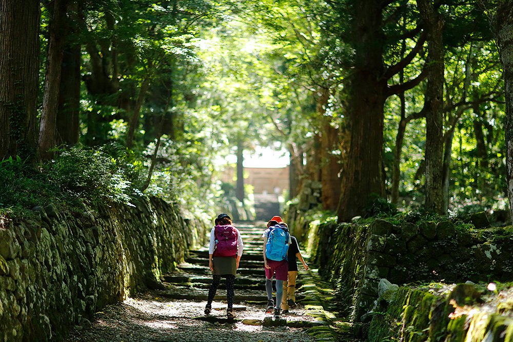 ブナの森ウォークイメージ
