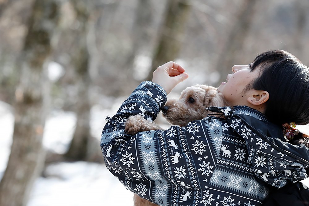愛犬とスノーシューハイク