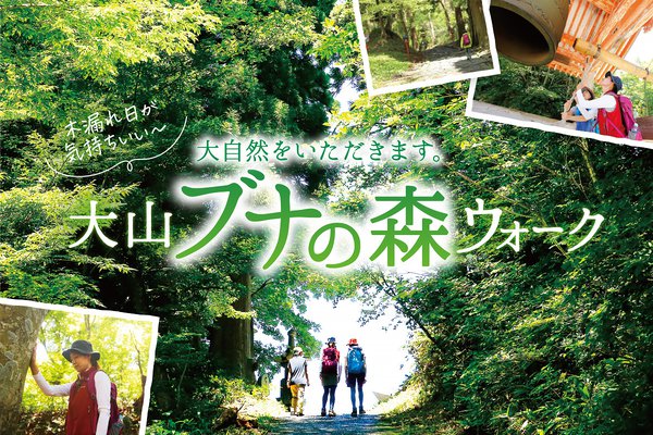 大自然をいただきます。心を洗う「大山ブナの森ウォーク」