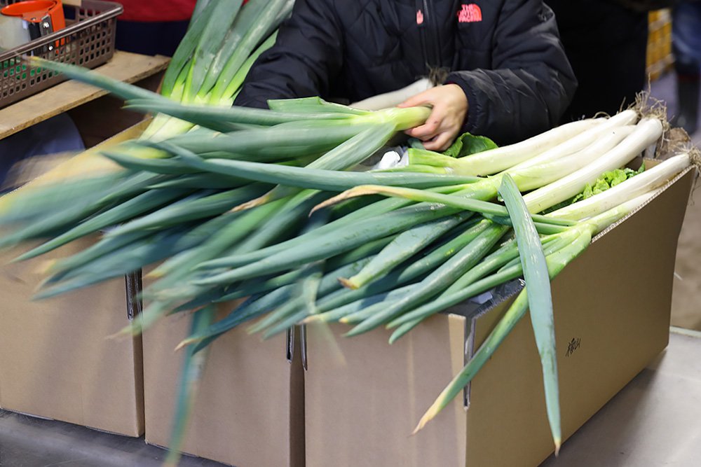 だいせんあぐりツアー