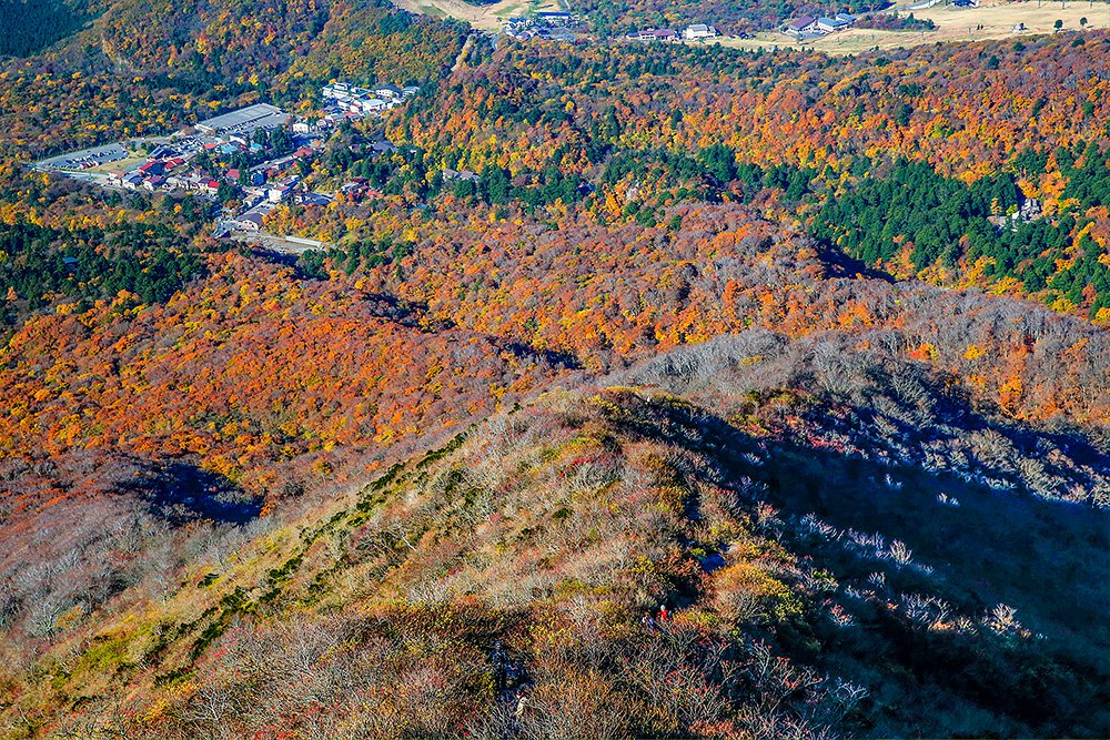 大山登山（紅葉）
