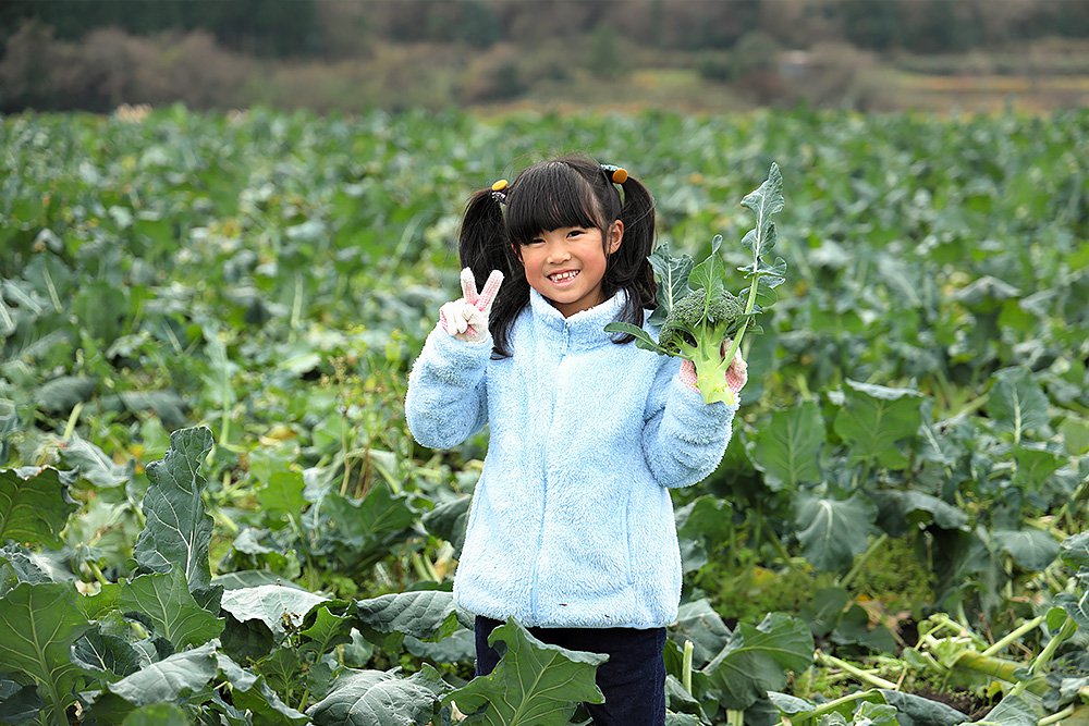 だいせんあぐりツアー