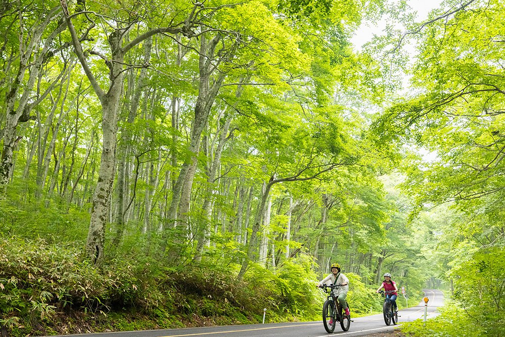 E-MTBで大山ぐるっと一周イメージ