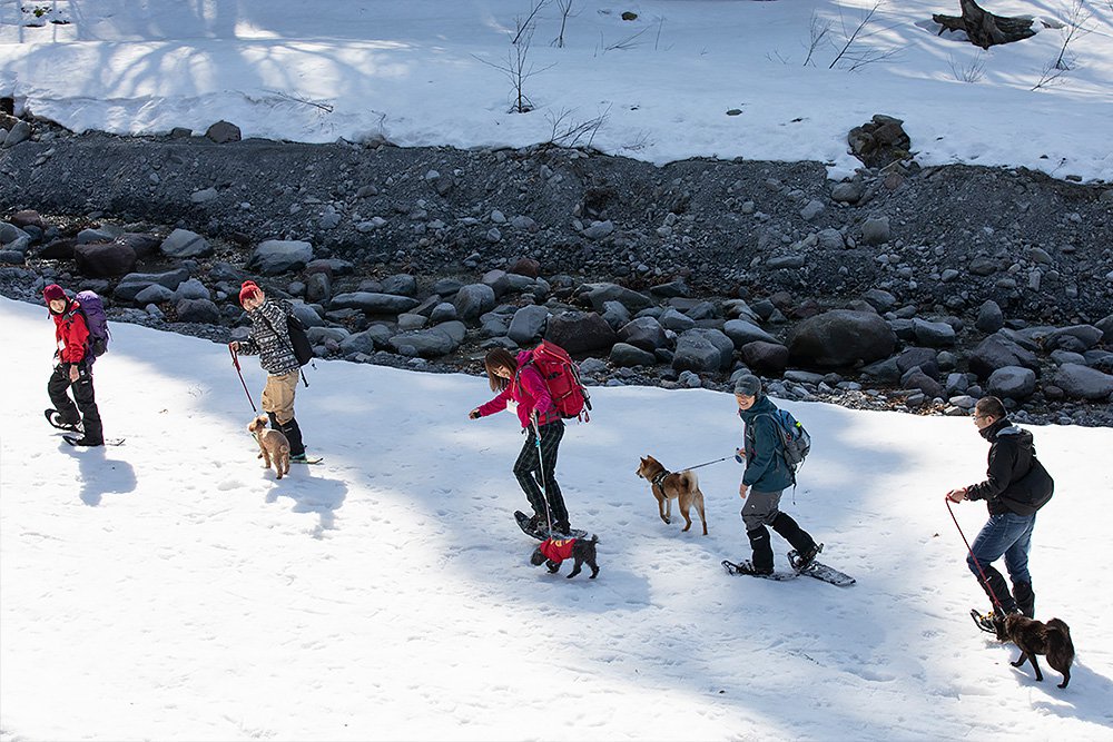 愛犬とスノーシューハイク
