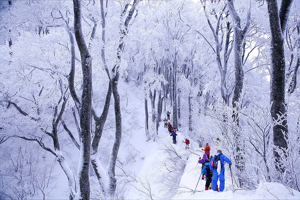 大山スノーシュー