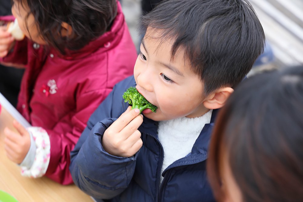 だいせんあぐりツアー