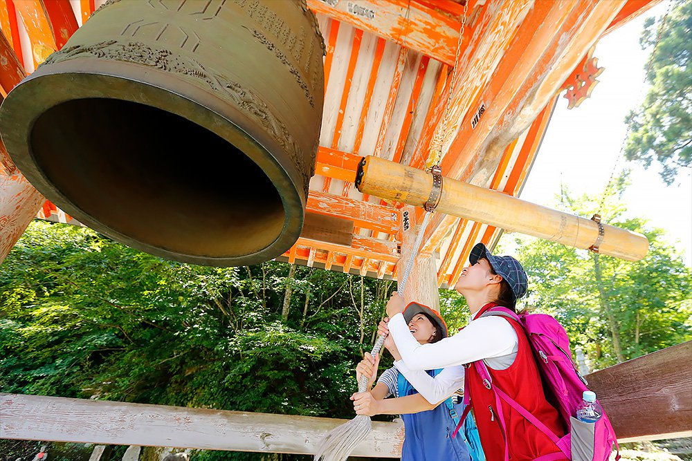 ブナの森ウォークイメージ