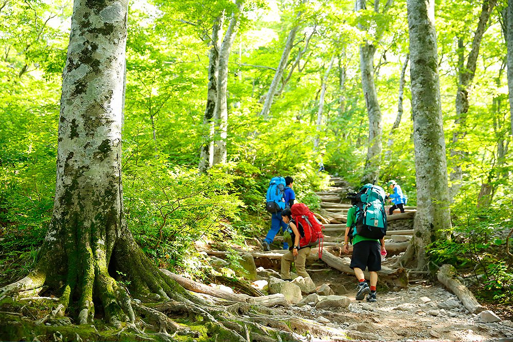 大山登山イメージ