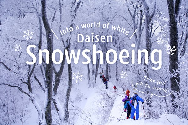 Mt. Daisen Snowshoeing