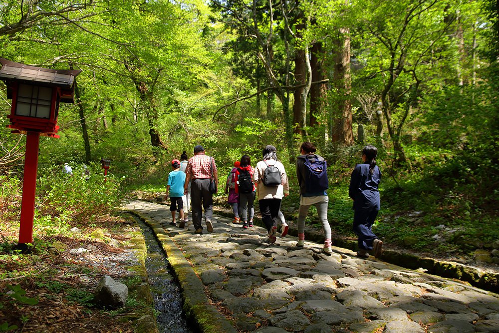 さくっとだいせんさんぽイメージ