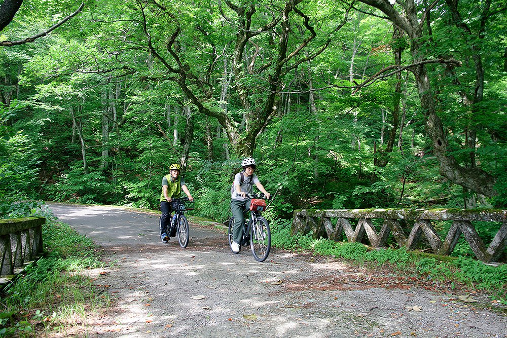 E-MTBで楽ちんサイクリングイメージ
